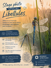 Stage photo spécial libellules