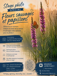 Stage photo spécial fleurs sauvages et papillons