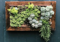 Atelier création sauvage