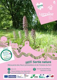 Sortie nature : découverte des fleurs printanières et de l'histoire du fort