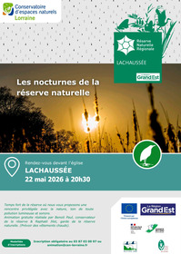 Les nocturnes de la réserve naturelle