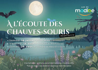 A l'écoute des chauves-souris