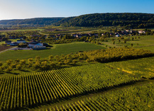 Domaine de Muzy - Combres-sous-les-Côtes