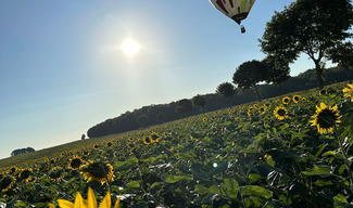 Fly Montgolfière - Vigneulles-lès-Hattonchâtel