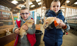 Ferme pédagogique de Woimbey - Woimbey