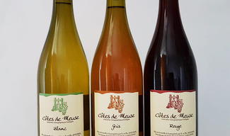 Domaine de la Goulotte - Saint-Maurice-sous-les-Côtes