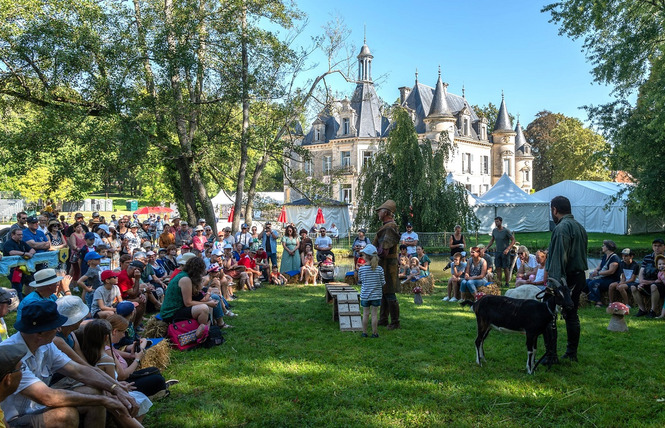 Les Médiévales du château de Thillombois 4 - Thillombois