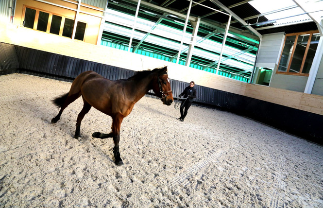 Haras de Madine 3 - Heudicourt-sous-les-Côtes