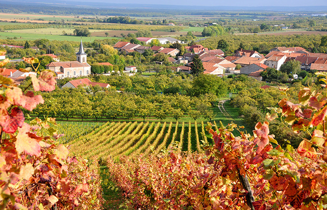 Domaine de Montgrignon 6 - Vigneulles-lès-Hattonchâtel