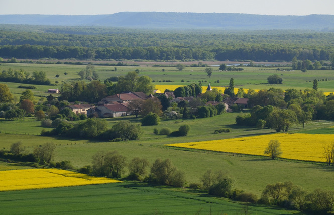 Gîte la glycine 6 - Lachaussée