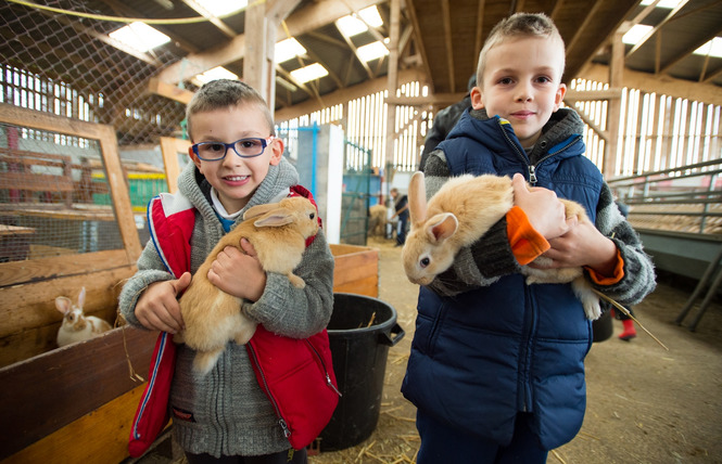 Ferme pédagogique de Woimbey 1 - Woimbey