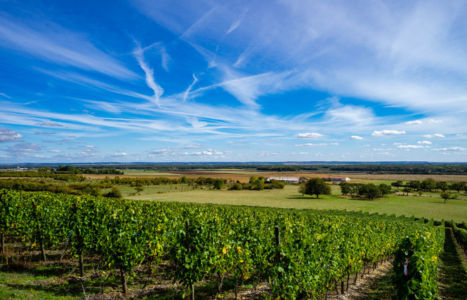 Domaine Léo-Paul Liénard 2 - Vigneulles-lès-Hattonchâtel
