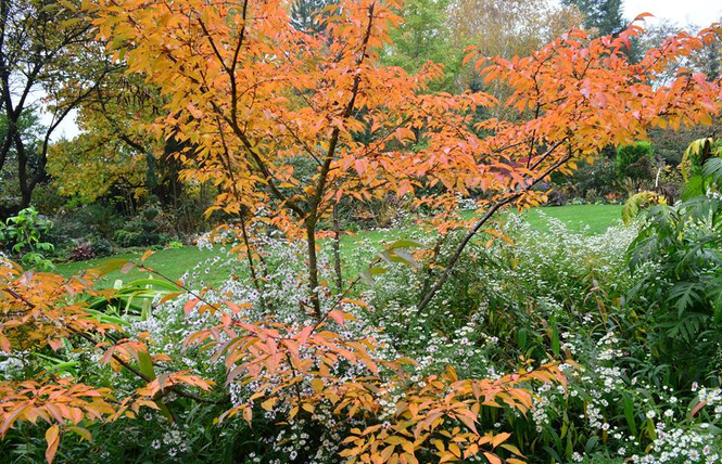 Jardin sous les côtes 4 - Apremont-la-Forêt