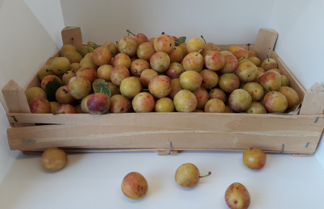 Jardin de Lorraine coopérative et boutique 3 - Vigneulles-lès-Hattonchâtel