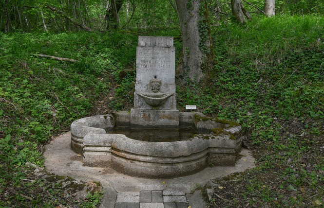 Fontaine des carmes 1 - Saint-Mihiel
