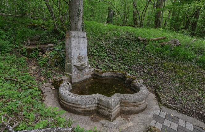 Fontaine des carmes 3 - Saint-Mihiel