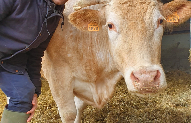 Boucherie charcuterie Polmard 4 - Saint-Mihiel