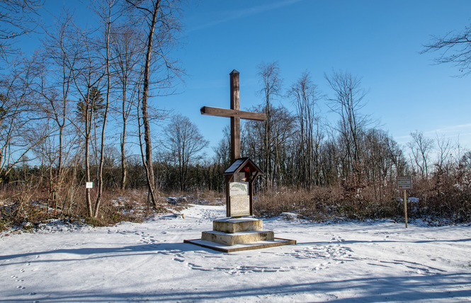 Tranchées du bois brûlé et croix des redoutes 6 - Apremont-la-Forêt