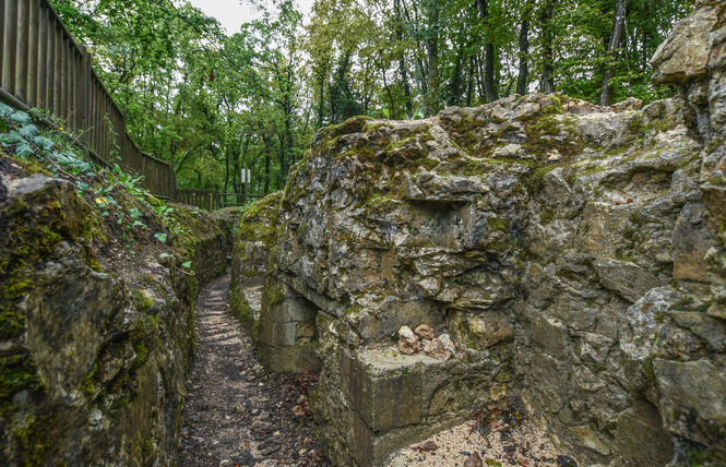 Tranchées du bois brûlé et croix des redoutes 1 - Apremont-la-Forêt