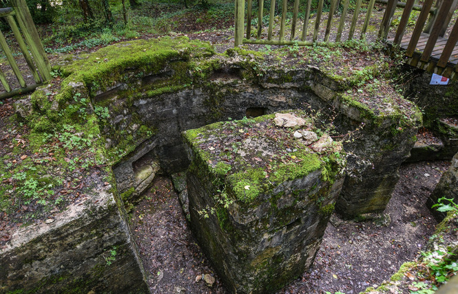 Tranchées du bois brûlé et croix des redoutes 2 - Apremont-la-Forêt