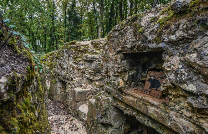 Tranchées du bois brûlé et croix des redoutes 3 - Apremont-la-Forêt