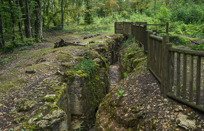 Tranchées du bois brûlé et croix des redoutes 4 - Apremont-la-Forêt