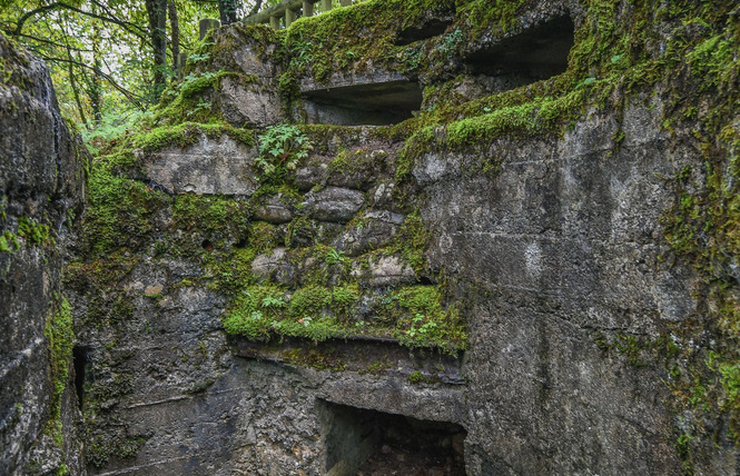 Tranchées du bois brûlé et croix des redoutes 5 - Apremont-la-Forêt