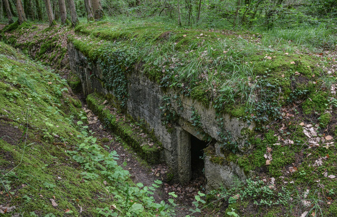 Bois d'Ailly - Tranchée de la Soif 1 - Han-sur-Meuse