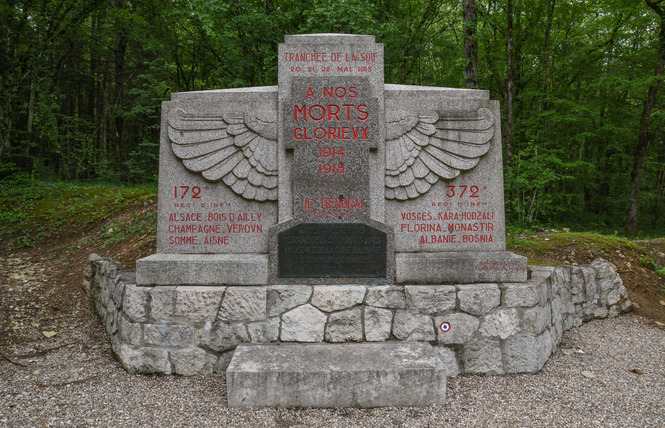 Bois d'Ailly - Tranchée de la Soif 3 - Han-sur-Meuse
