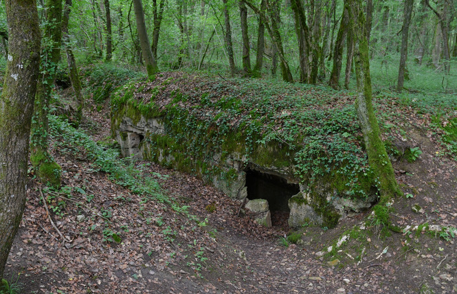Bois d'Ailly - Tranchée de la Soif 5 - Han-sur-Meuse