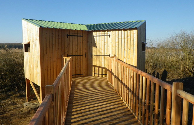 Réserve naturelle régionale de l'étang de Lachaussée 5 - Lachaussée