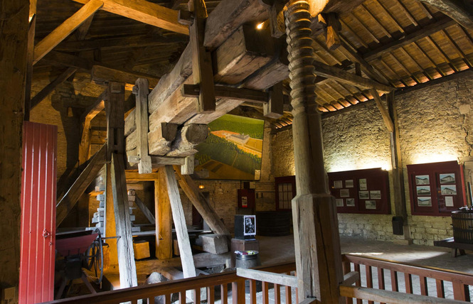 Pressoir de Beaulieu 2 - Beaulieu-en-Argonne