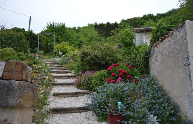 Studio dans un jardin 2 - Apremont-la-Forêt
