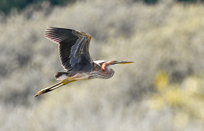 Stage photographique en bateau 4 - Nonsard-Lamarche