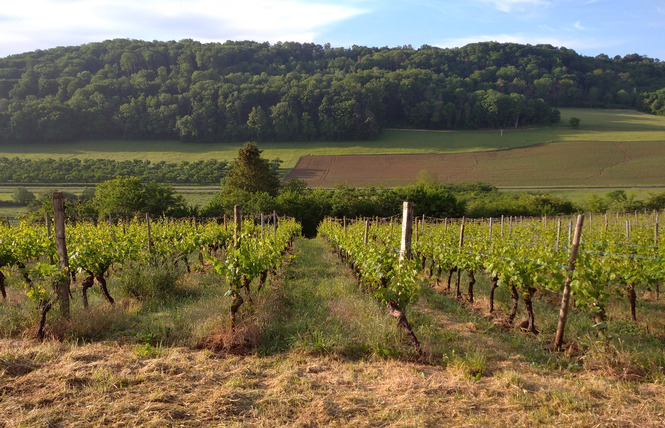 Domaine de Meussaumont 2 - Vigneulles-lès-Hattonchâtel
