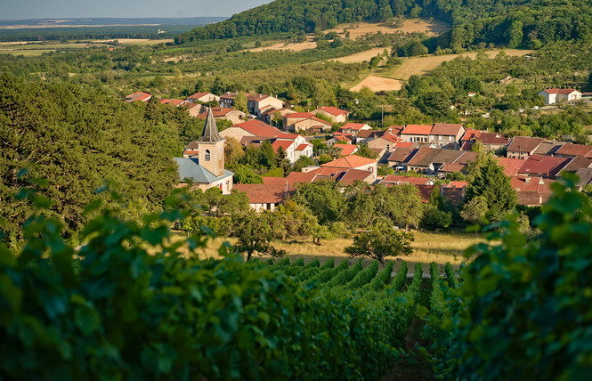 Domaine de Meussaumont 2 - Vigneulles-lès-Hattonchâtel