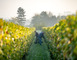 Domaine de Muzy 5 - Combres-sous-les-Côtes
