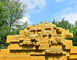 Vent des forêts 6 - Fresnes-au-Mont