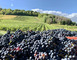 Domaine de Montgrignon 2 - Vigneulles-lès-Hattonchâtel