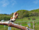 Domaine de la Goulotte 6 - Saint-Maurice-sous-les-Côtes