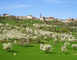 Village remarquable d'Hattonchâtel 1 - Vigneulles-lès-Hattonchâtel