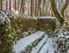 Tranchées des Bavarois et de Roffignac 3 - Apremont-la-Forêt