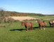 Aire naturelle le Rupt 2 - Rupt-devant-Saint-Mihiel