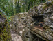 Tranchées du bois brûlé et croix des redoutes 3 - Apremont-la-Forêt