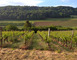 Domaine de Meussaumont 2 - Vigneulles-lès-Hattonchâtel